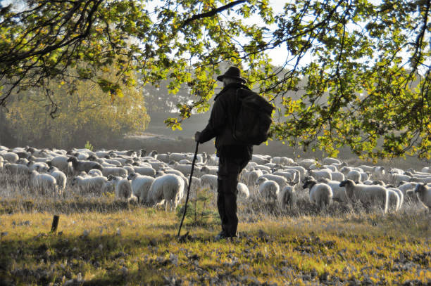 La especie humana y su vínculo con los animales | Faunismo