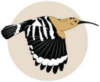 Logo FAUNISMO