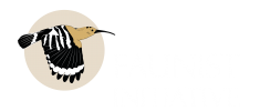 Logo Faunismo